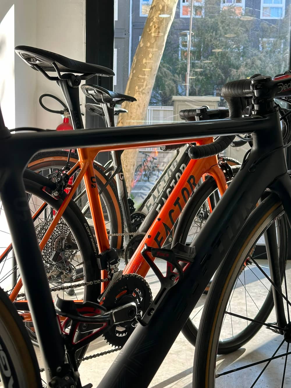 Tienda Veloved con bicicletas Factor